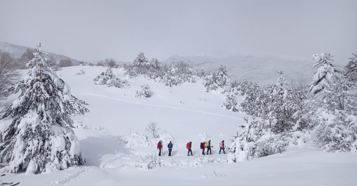 Salida invernal 2024